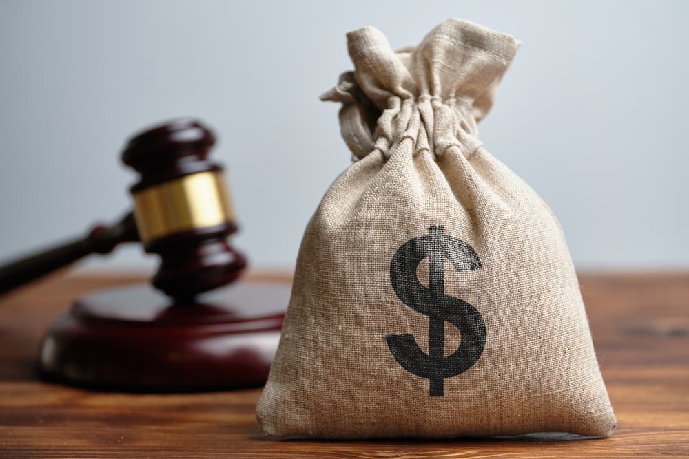 Dollar Bag and Judge's Gave in Background